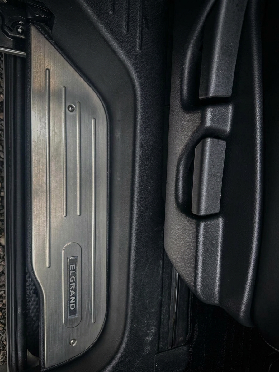 Nissan Elgrand 2011 view 15